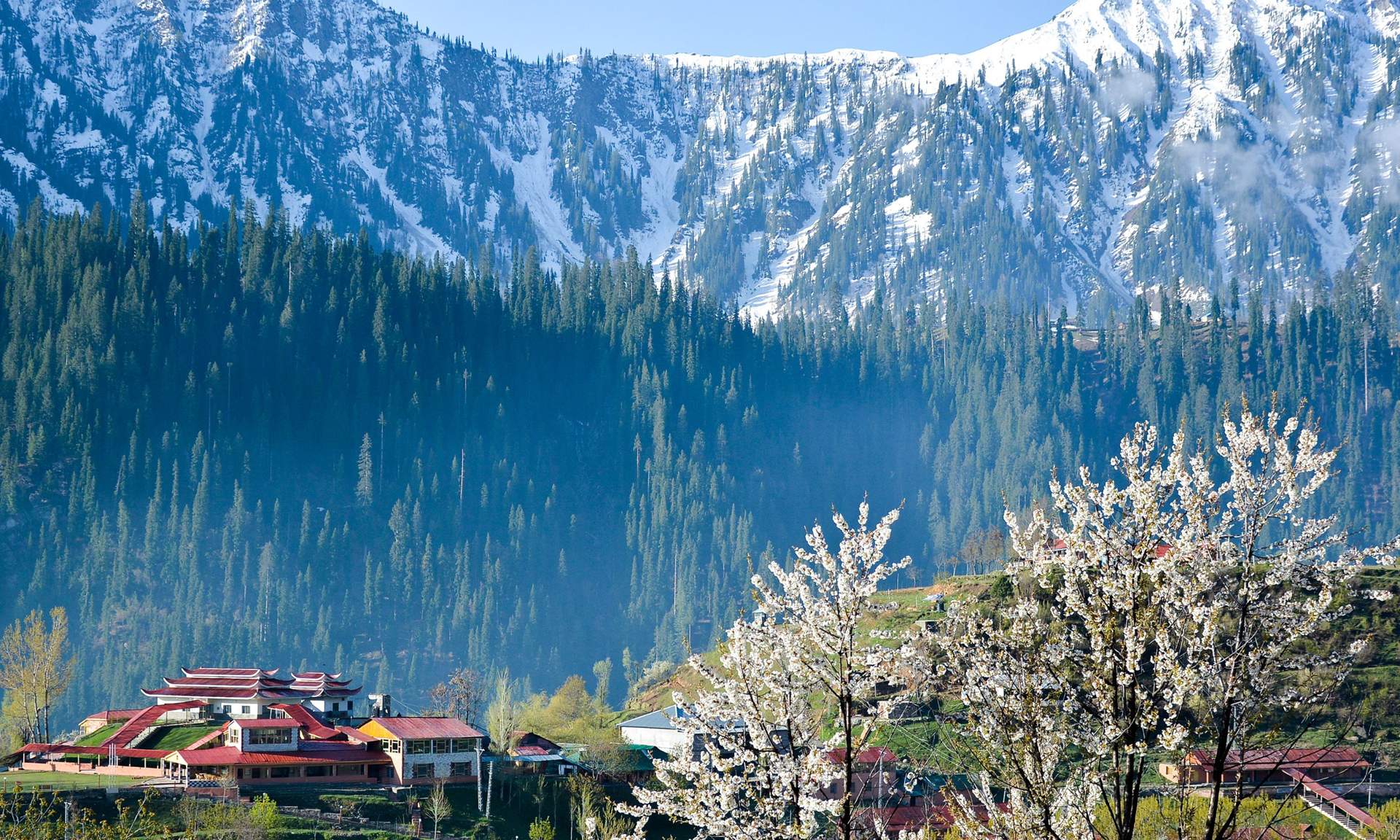 دره نیلوم