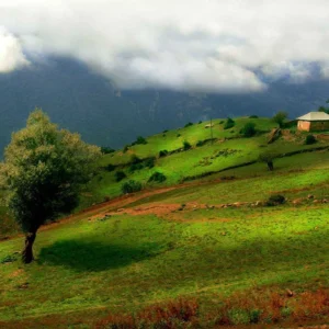 تور آلاشت نارون