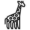 زرافه