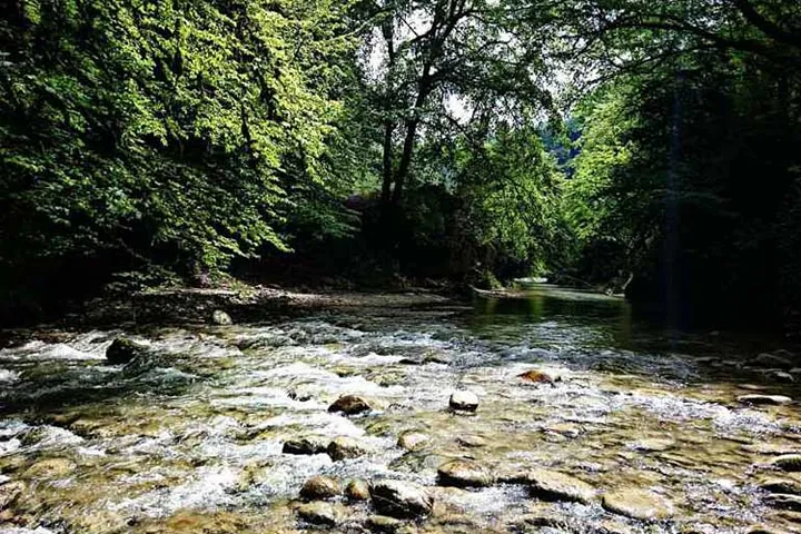 تصاویر تور لفور (5)